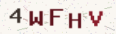 Security code image